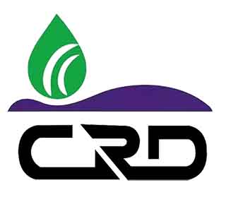 永州大豆种植灌溉方法